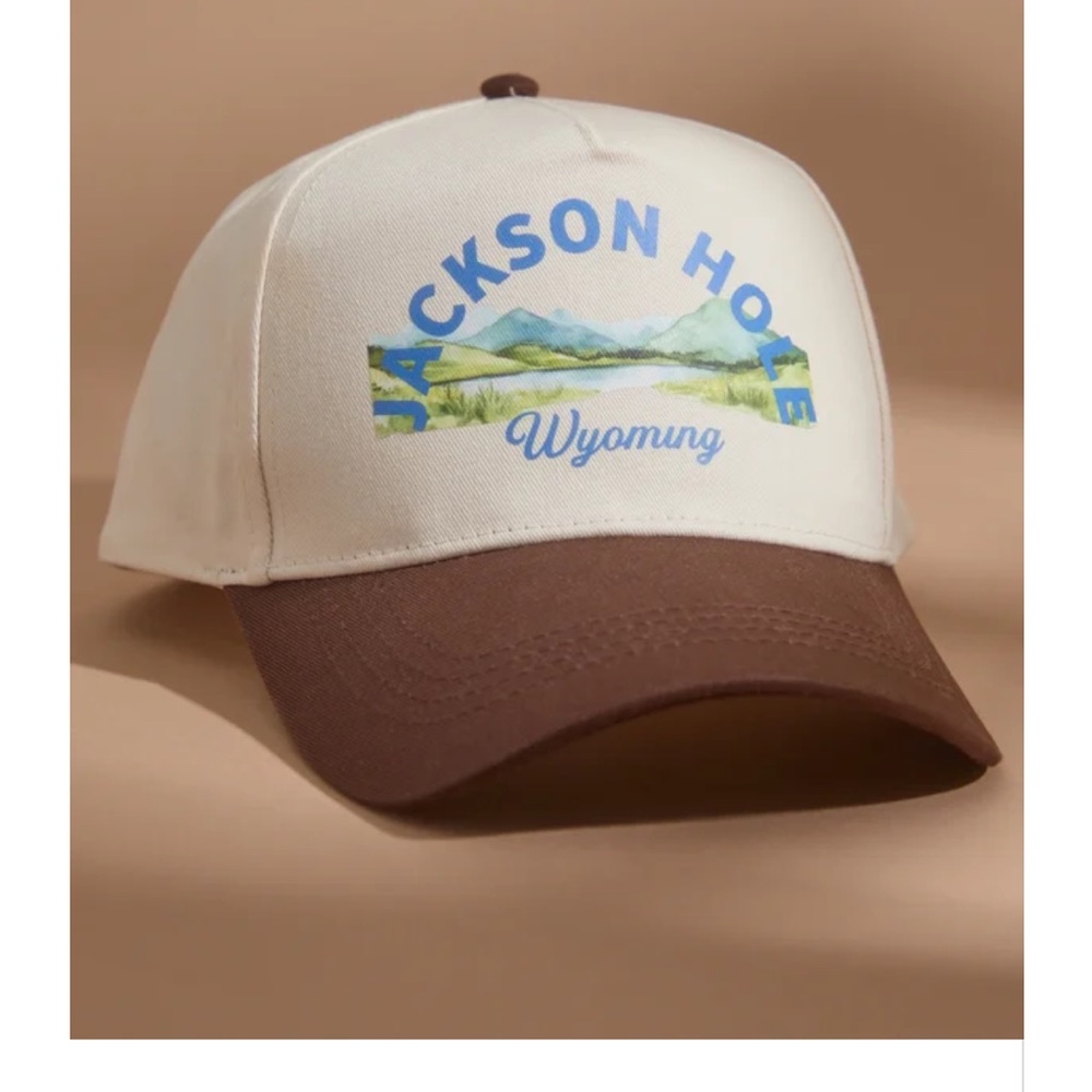 Jackson Hole Trucker hat, never worn, with tags